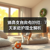 猫鼻支自救有妙招：7天家庭护理全解析（图3）
