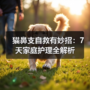 猫鼻支自救有妙招：7天家庭护理全解析（图4）