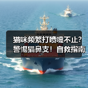 猫咪频繁打喷嚏不止?警惕猫鼻支!自救指南来啦(图2) 猫咪频繁打喷嚏不止?警惕猫鼻支!自救指南来啦(图2)