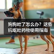 狗狗吐了怎么办?这些抗呕吐药物使用指南(图2) 狗狗吐了怎么办?这些抗呕吐药物使用指南(图2)