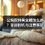 公狗配种黄金期怎么选?掌握时机与注意事项提高繁殖成功率(图2) 公狗配种黄金期怎么选?掌握时机与注意事项提高繁殖成功率(图2)