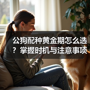 公狗配种黄金期怎么选?掌握时机与注意事项提高繁殖成功率(图4) 公狗配种黄金期怎么选?掌握时机与注意事项提高繁殖成功率(图4)