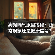 狗狗喘气原因揭秘:正常现象还是健康信号?(图1) 狗狗喘气原因揭秘:正常现象还是健康信号?(图1)