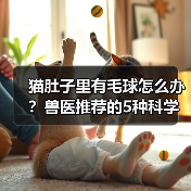 猫肚子里有毛球怎么办?兽医推荐的5种科学排毛法(图4) 猫肚子里有毛球怎么办?兽医推荐的5种科学排毛法(图4)