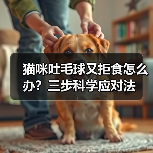 猫咪吐毛球又拒食怎么办?三步科学应对法(图4) 猫咪吐毛球又拒食怎么办?三步科学应对法(图4)