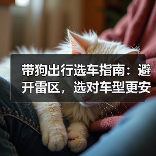 带狗出行选车指南:避开雷区,选对车型更安心(图2) 带狗出行选车指南:避开雷区,选对车型更安心(图2)