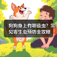 狗狗身上有哪些虫?常见寄生虫预防全攻略(图4) 狗狗身上有哪些虫?常见寄生虫预防全攻略(图4)