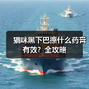 猫咪黑下巴擦什么药膏有效?全攻略(图1) 猫咪黑下巴擦什么药膏有效?全攻略(图1)