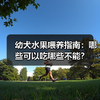 幼犬水果喂养指南:哪些可以吃哪些不能?(图1) 幼犬水果喂养指南:哪些可以吃哪些不能?(图1)