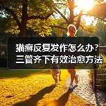 猫癣反复发作怎么办?三管齐下有效治愈方法(图1) 猫癣反复发作怎么办?三管齐下有效治愈方法(图1)