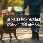 猫咪呕吐黄水泡沫粘液怎么办?快速自救方法全解析(图3) 猫咪呕吐黄水泡沫粘液怎么办?快速自救方法全解析(图3)