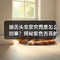 猫舌头变紫究竟是怎么回事?揭秘紫色舌苔的隐藏原因(图2) 猫舌头变紫究竟是怎么回事?揭秘紫色舌苔的隐藏原因(图2)