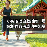 小狗呕吐自救指南：居家护理方法成功率超高！（图1）