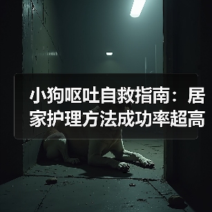 小狗呕吐自救指南：居家护理方法成功率超高！（图4）
