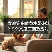 泰迪狗狗吐黄水带泡沫?5个常见原因及应对方法(图4) 泰迪狗狗吐黄水带泡沫?5个常见原因及应对方法(图4)