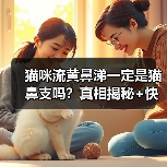 猫咪流黄鼻涕一定是猫鼻支吗?真相揭秘+快速鉴别方法!(图1) 猫咪流黄鼻涕一定是猫鼻支吗?真相揭秘+快速鉴别方法!(图1)