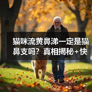 猫咪流黄鼻涕一定是猫鼻支吗?真相揭秘+快速鉴别方法!(图2) 猫咪流黄鼻涕一定是猫鼻支吗?真相揭秘+快速鉴别方法!(图2)