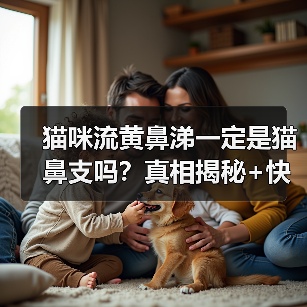 猫咪流黄鼻涕一定是猫鼻支吗?真相揭秘+快速鉴别方法!(图4) 猫咪流黄鼻涕一定是猫鼻支吗?真相揭秘+快速鉴别方法!(图4)