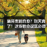 猫鼻支能自愈?别天真了!这些致命误区必须知道(图1) 猫鼻支能自愈?别天真了!这些致命误区必须知道(图1)