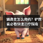 猫鼻支怎么用药?铲屎官必看快速治疗指南(图3) 猫鼻支怎么用药?铲屎官必看快速治疗指南(图3)