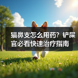 猫鼻支怎么用药?铲屎官必看快速治疗指南(图4) 猫鼻支怎么用药?铲屎官必看快速治疗指南(图4)