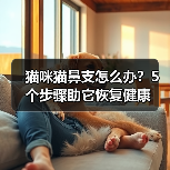 猫咪猫鼻支怎么办?5个步骤助它恢复健康(图4) 猫咪猫鼻支怎么办?5个步骤助它恢复健康(图4)
