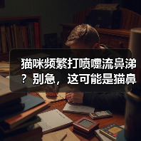 猫咪频繁打喷嚏流鼻涕?别急,这可能是猫鼻支信号!(图3) 猫咪频繁打喷嚏流鼻涕?别急,这可能是猫鼻支信号!(图3)