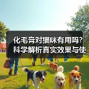 化毛膏对猫咪有用吗?科学解析真实效果与使用指南(图3) 化毛膏对猫咪有用吗?科学解析真实效果与使用指南(图3)