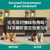 化毛膏对猫咪有用吗?科学解析真实效果与使用指南(图4) 化毛膏对猫咪有用吗?科学解析真实效果与使用指南(图4)