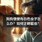 狗狗便便有白色虫子怎么办?如何正确驱虫?(图2) 狗狗便便有白色虫子怎么办?如何正确驱虫?(图2)