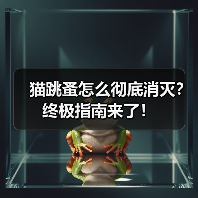 猫跳蚤怎么彻底消灭?终极指南来了!(图3) 猫跳蚤怎么彻底消灭?终极指南来了!(图3)