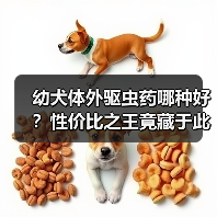 幼犬体外驱虫药哪种好？性价比之王竟藏于此！