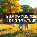 猫咪健康必修课：你知道吗？即使不出门也得驱虫？