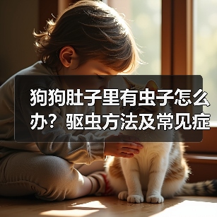 狗狗肚子里有虫子怎么办？驱虫方法及常见症状解析