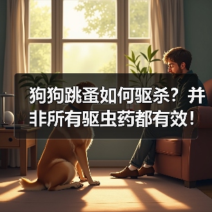 狗狗跳蚤如何驱杀?并非所有驱虫药都有效!(图3) 狗狗跳蚤如何驱杀?并非所有驱虫药都有效!(图3)