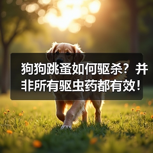 狗狗跳蚤如何驱杀?并非所有驱虫药都有效!(图4) 狗狗跳蚤如何驱杀?并非所有驱虫药都有效!(图4)