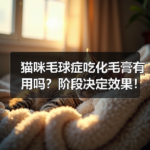 猫咪毛球症吃化毛膏有用吗?阶段决定效果!(图2) 猫咪毛球症吃化毛膏有用吗?阶段决定效果!(图2)