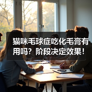 猫咪毛球症吃化毛膏有用吗?阶段决定效果!(图4) 猫咪毛球症吃化毛膏有用吗?阶段决定效果!(图4)