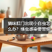 猫咪肛门出现小白虫怎么办？绦虫感染要警惕