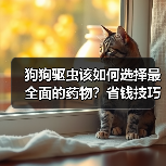 狗狗驱虫该如何选择最全面的药物?省钱技巧全在这!(图2) 狗狗驱虫该如何选择最全面的药物?省钱技巧全在这!(图2)