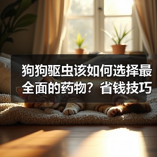 狗狗驱虫该如何选择最全面的药物?省钱技巧全在这!(图3) 狗狗驱虫该如何选择最全面的药物?省钱技巧全在这!(图3)