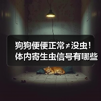 狗狗便便正常≠没虫！体内寄生虫信号有哪些？