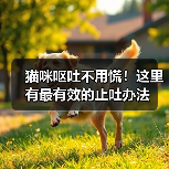 猫咪呕吐不用慌!这里有最有效的止吐办法(图4) 猫咪呕吐不用慌!这里有最有效的止吐办法(图4)