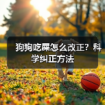 狗狗吃屎怎么改正?科学纠正方法(图3) 狗狗吃屎怎么改正?科学纠正方法(图3)