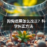 狗狗吃屎怎么改正?科学纠正方法(图4) 狗狗吃屎怎么改正?科学纠正方法(图4)