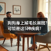 狗狗身上掉毛长黑斑?可能是这5种疾病!(图4) 狗狗身上掉毛长黑斑?可能是这5种疾病!(图4)