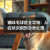 猫咪毛球症全攻略:从症状识别到急救处理,养猫必看!(图2) 猫咪毛球症全攻略:从症状识别到急救处理,养猫必看!(图2)