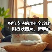 狗狗皮肤病用药全攻略!附症状图片,新手必存!(图2) 狗狗皮肤病用药全攻略!附症状图片,新手必存!(图2)