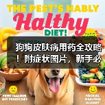 狗狗皮肤病用药全攻略！附症状图片，新手必存！