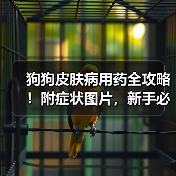 狗狗皮肤病用药全攻略!附症状图片,新手必存!(图4) 狗狗皮肤病用药全攻略!附症状图片,新手必存!(图4)